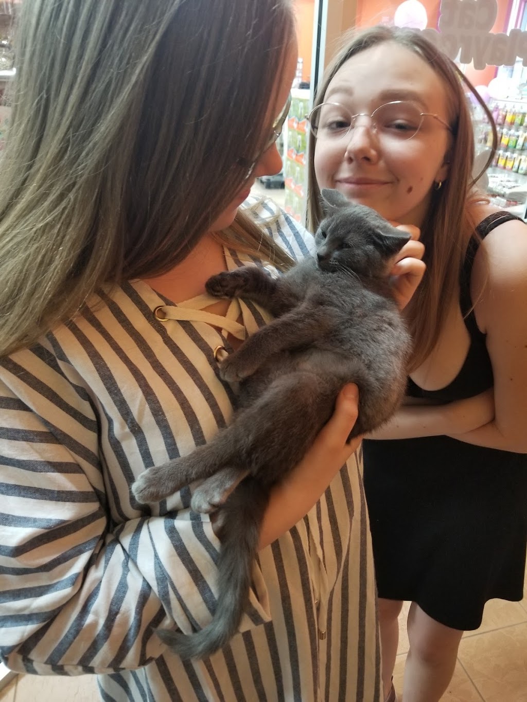 Petland | 244 Watt Common SW, Edmonton, AB T6X 1X2, Canada | Phone: (587) 520-1092