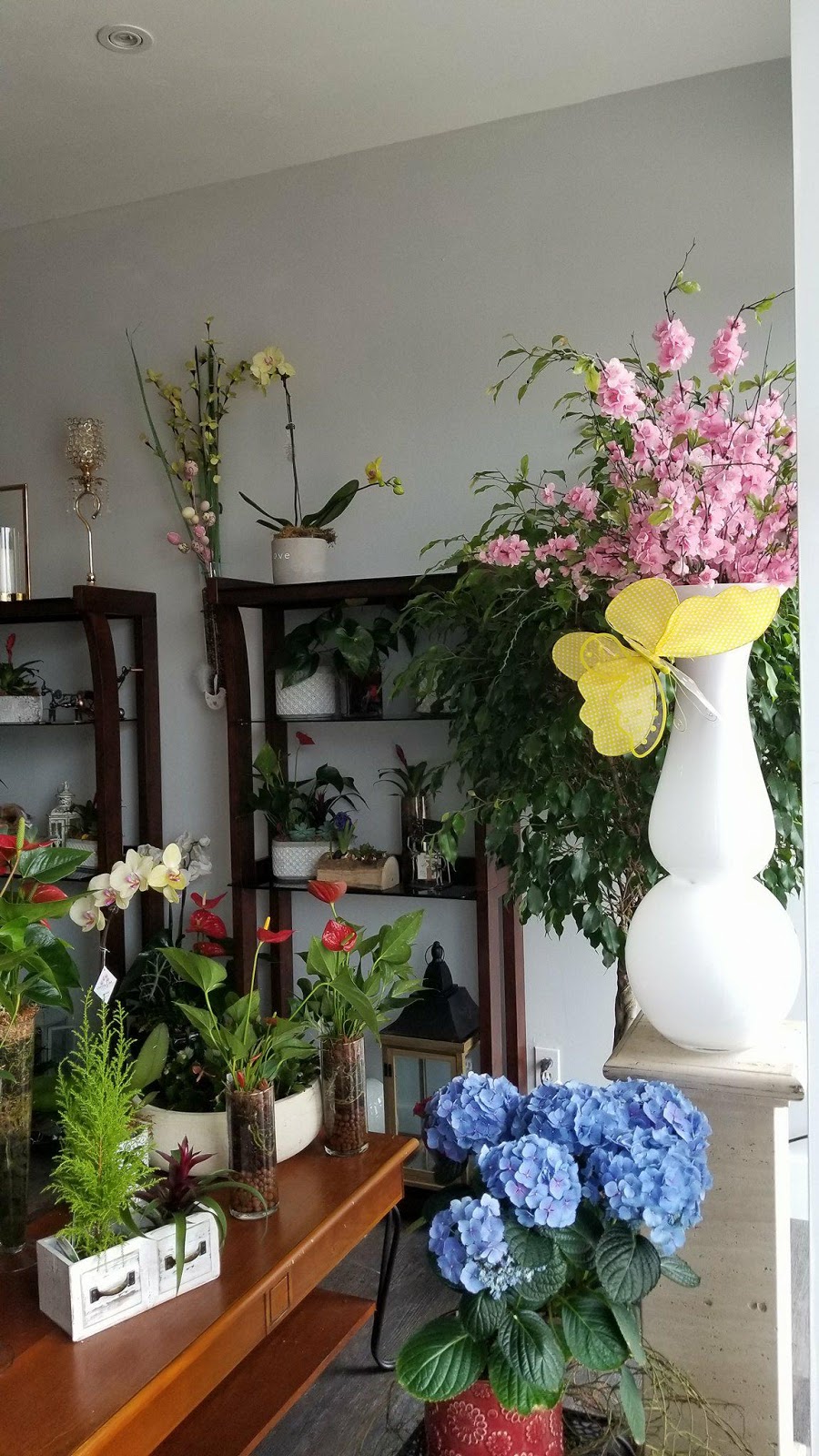 Late Bloom Florist | 5353 Lakeshore Rd #10, Burlington, ON L7L 4N9, Canada | Phone: (905) 631-9009