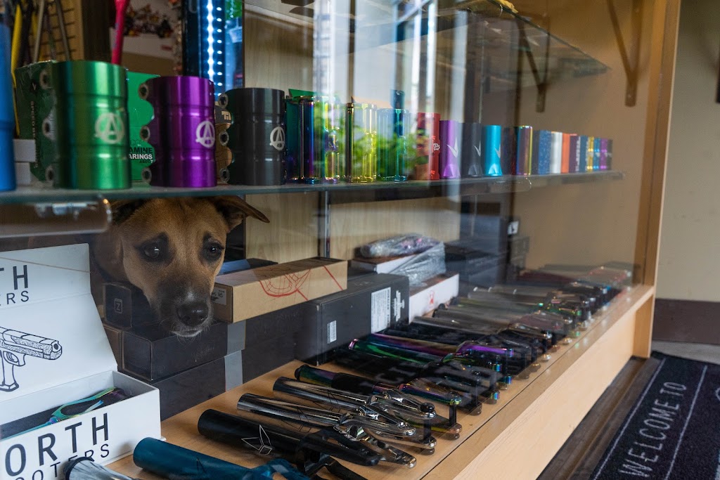 Airborne Action Sports | 265 City Centre Ave, Ottawa, ON K1R 7R7, Canada | Phone: (613) 230-3000