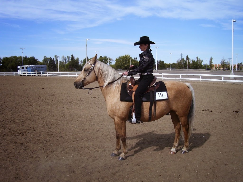Horse and Home Metal Art and Design Saskatoon | 411 Vincent Crescent, Saskatoon, SK S7N 4G9, Canada | Phone: (306) 380-4277