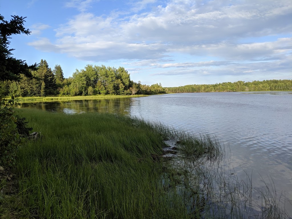 Molus River Seasonal Campground | 314 Alden Warmen Rd, Bass River, NB E4T 3Y2, Canada | Phone: (506) 427-0085