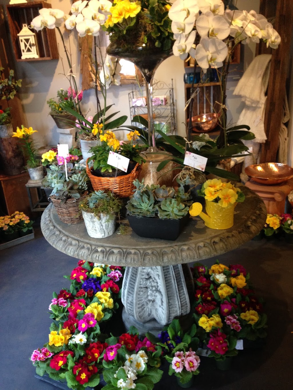 Bowen Island Flower Shop | 559 Artisan Ln, Bowen Island, BC V0N 1G0, Canada | Phone: (604) 947-2278
