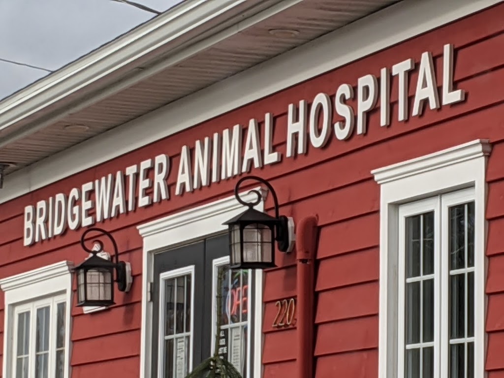 Bridgewater Animal Hospital | 220 North St, Bridgewater, NS B4V 2V6, Canada | Phone: (902) 543-2931