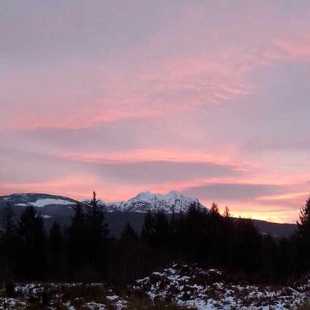 Timberlodge & RV Campground | 2404 Timberlane Rd, Port Alberni, BC V9Y 8P2, Canada | Phone: (250) 723-9415