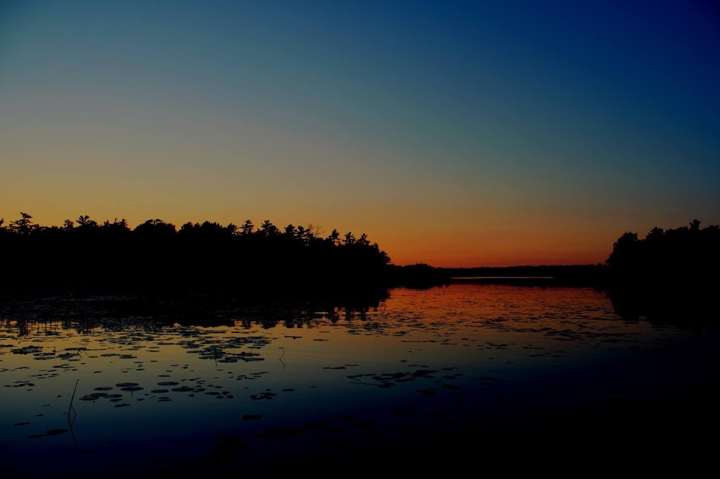 Moon River Marine | 714 Healey Lake Rd, MacTier, ON P0C 1H0, Canada | Phone: (705) 375-2342