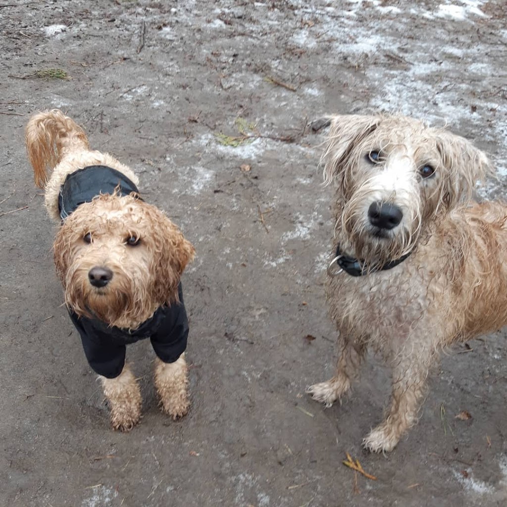Forever Pawsitive K9 Academy | 610 Huron Rd, Mar, ON N0H 1X0, Canada | Phone: (519) 477-3759