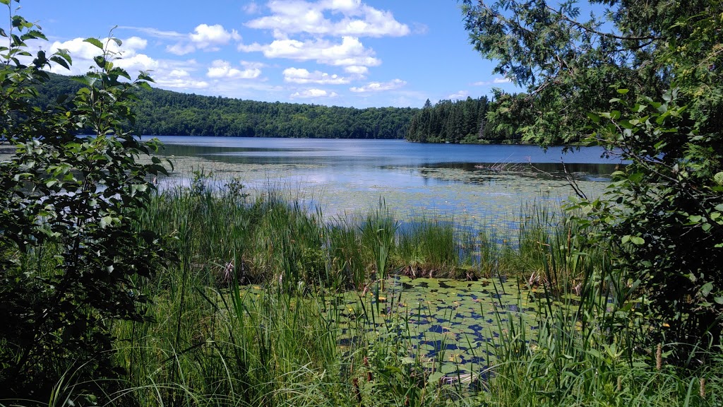 Carrière Beauregard | 137 Route 105, Messines, QC J0X 2J0, Canada | Phone: (819) 449-6133