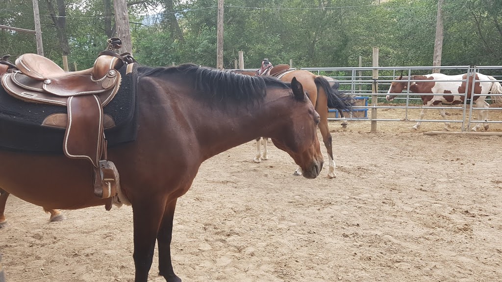 Indian Grove Riding Stables | 600 Rancher Creek Rd, Osoyoos, BC V0H 1V6, Canada | Phone: (250) 495-7555