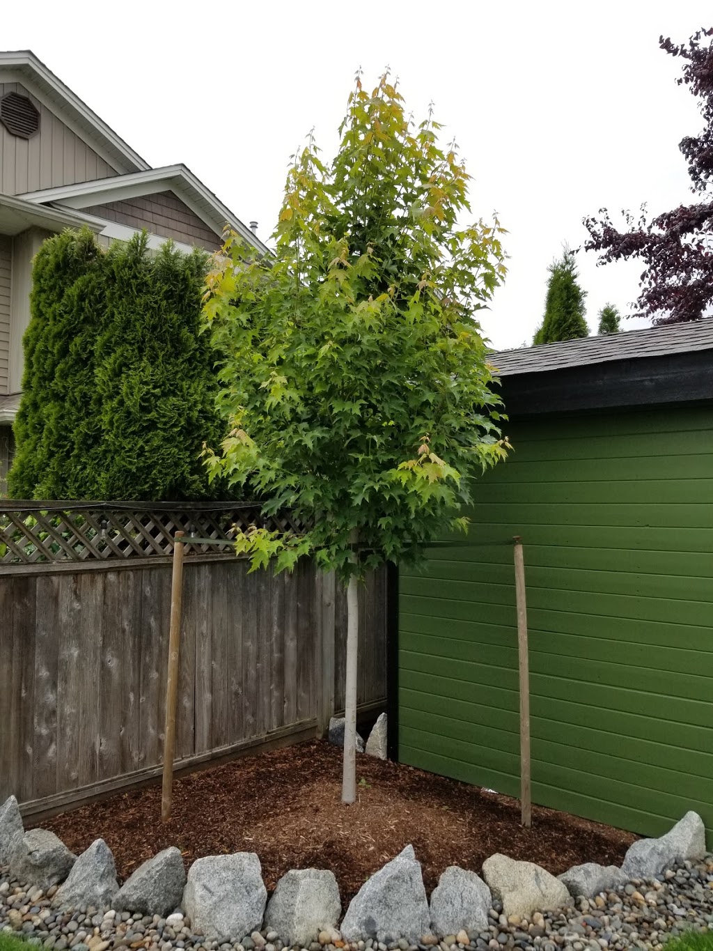Cutting Edge Tree Service Ltd. | 8597 Henderson St, Mission, BC V2V 7P9, Canada | Phone: (604) 615-6159