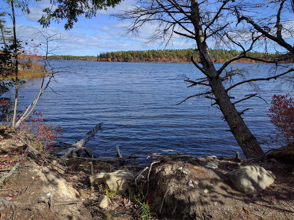 Sackville Lakes Provincial Park | 440 First Lake Dr, Lower Sackville, NS B4C 3L2, Canada | Phone: (888) 773-8888