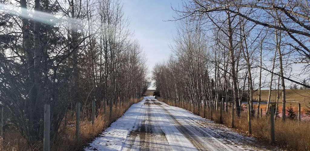 Pam Warner REALTOR with Century 21 Maximum Realty | 3617F 50 Ave, Red Deer, AB T4N 3Y5, Canada | Phone: (403) 302-3596