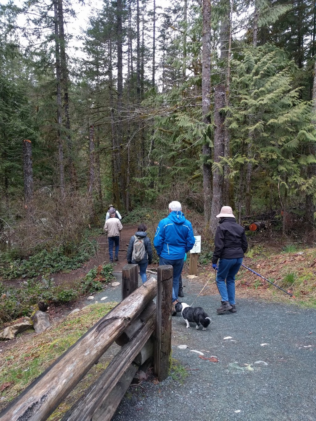 Kinsol Trestle Parking Lot | Cowichan Valley B, BC V0R, Canada | Phone: (250) 746-2620