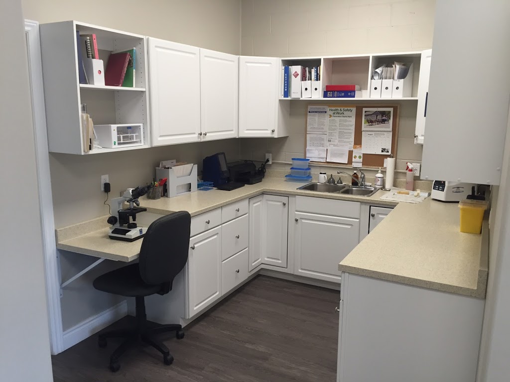 McGregor Veterinary Services | 839 Stone St N, Gananoque, ON K7G 1Z7, Canada | Phone: (613) 381-2015