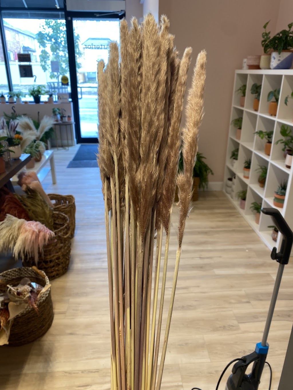 Arterior - Home Decor, Plants, Gifts | 128 Burnhamthorpe Rd E, Oakville, ON L6H 7C8, Canada | Phone: (905) 216-2804