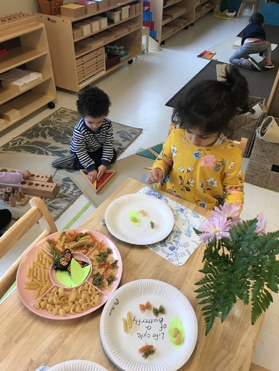 Terry Fox Montessori | 1051 Eglinton Ave W, Mississauga, ON L5V 2W3, Canada | Phone: (416) 557-3396