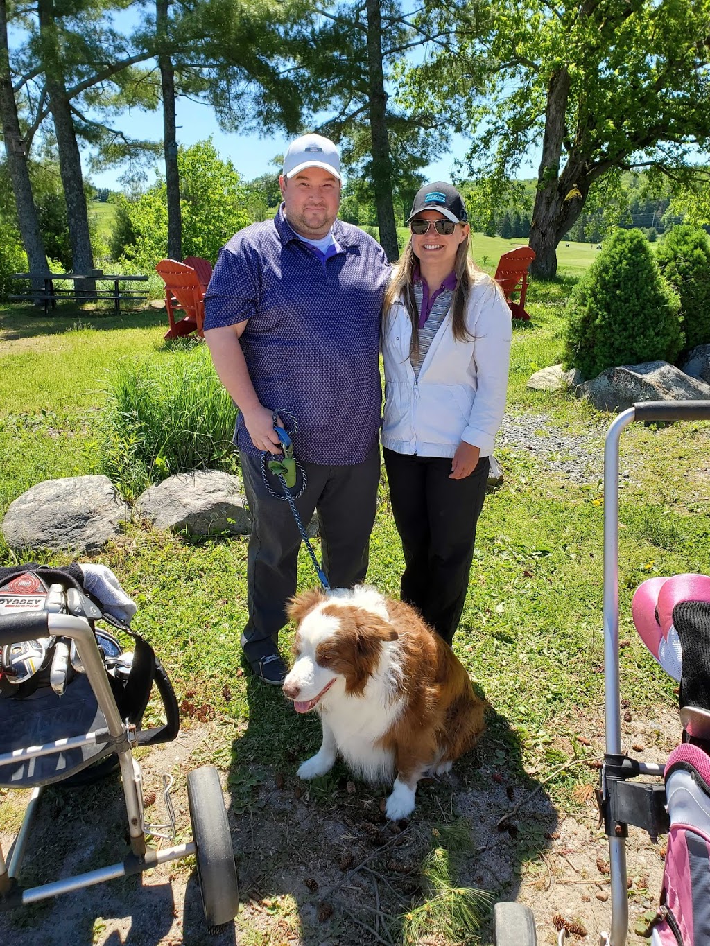 Muskoka Highlands Golf Links | 1036 S Monck Dr, Bracebridge, ON P1L 1W8, Canada | Phone: (705) 646-1060