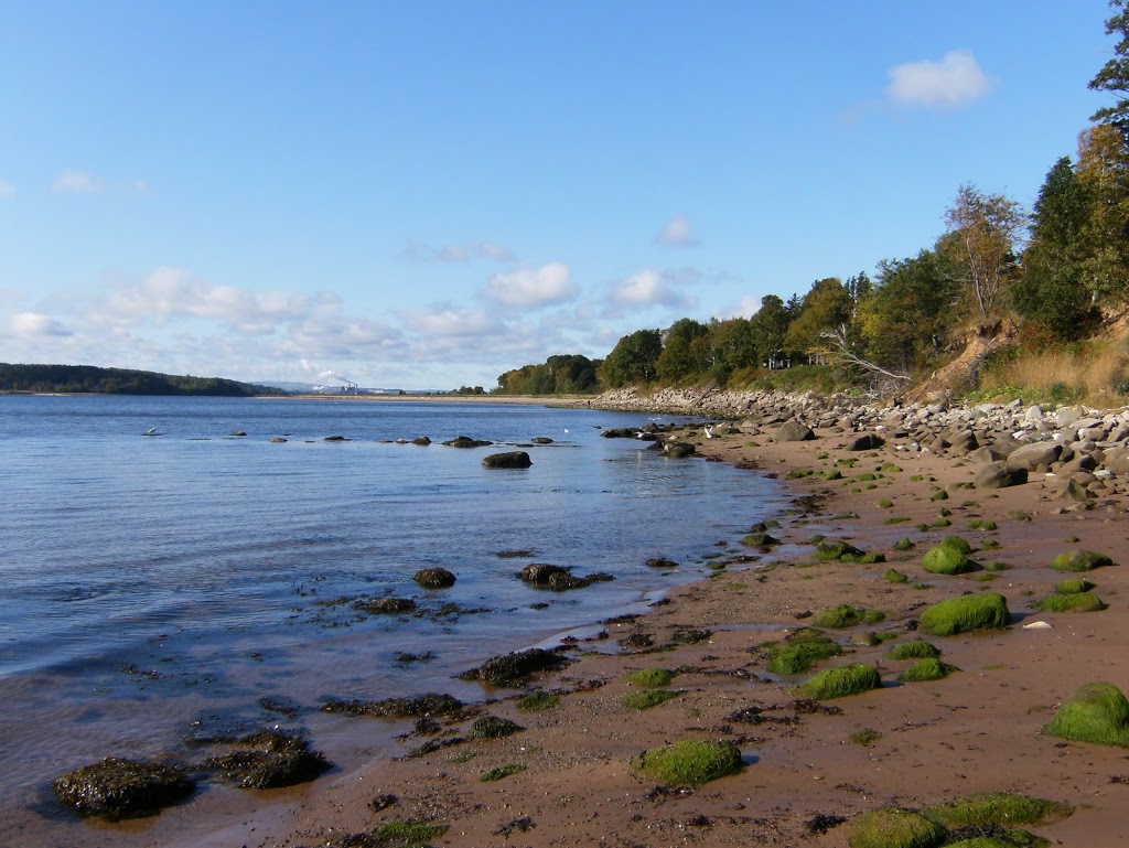 Harbour Light Campground | 2881 Three Brooks Rd, Pictou, NS B0K 1H0, Canada | Phone: (902) 485-5733
