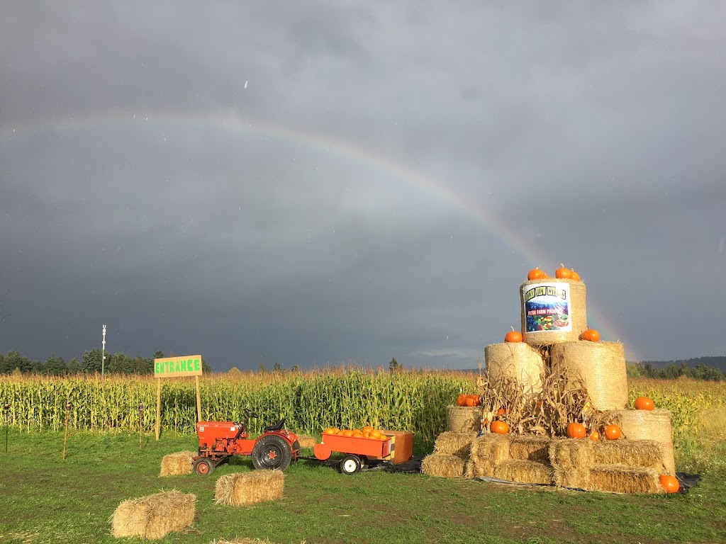 Saanichton Corn Maze | 7979 Central Saanich Rd, Saanichton, BC V8M 1T7, Canada | Phone: (778) 628-0788