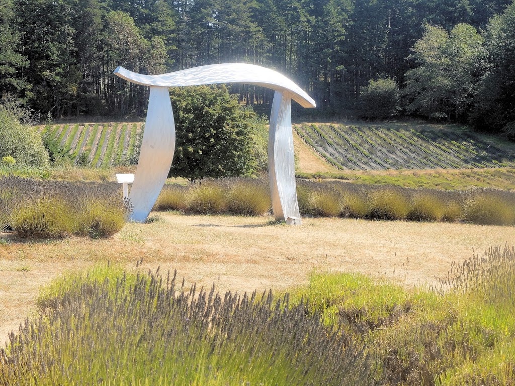 Pelindaba Lavender Farm | 45 Hawthorne Ln, Friday Harbor, WA 98250, USA | Phone: (360) 378-4248