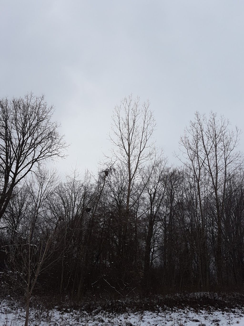 Talltree Park - East | London, ON N5V 4Y1, Canada | Phone: (519) 661-2489