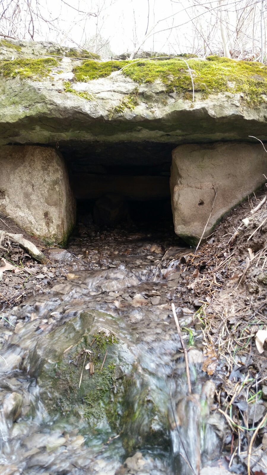 Earl W. Brydges Artpark State Park | 450 S 4th St, Lewiston, NY 14092, USA | Phone: (716) 754-7766