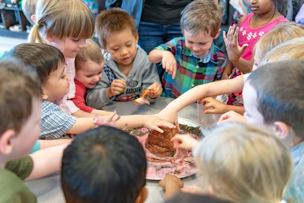 Little Footprints Academy | Daycare Surrey | 8532 120 St, Surrey, BC V3W 3N5, Canada | Phone: (778) 926-9900