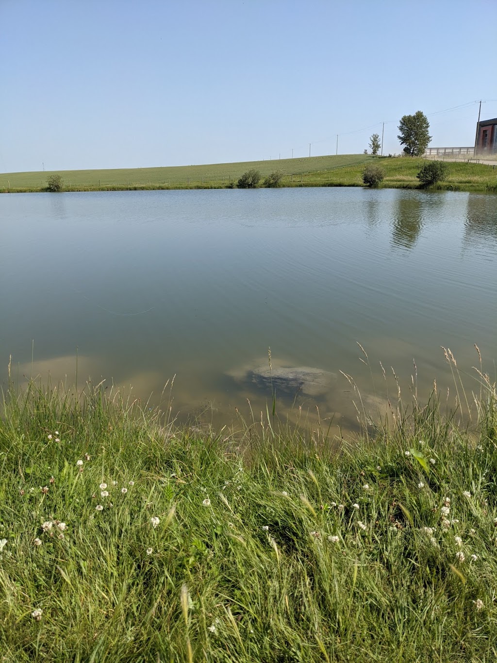 Crossfield Fish Pond | Fish Pond, Crossfield, AB T0M 0S0, Canada | Phone: (403) 555-1234