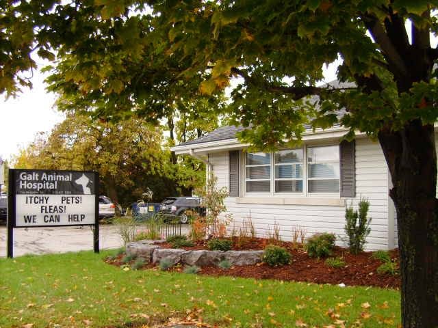 Galt Animal Hospital | 156 Hespeler Rd, Cambridge, ON N1R 6V7, Canada | Phone: (519) 621-1980