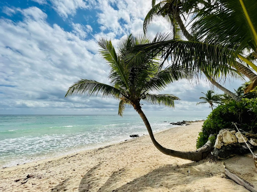 Some Beach Somewhere Ltd | Box 1030, 304 Edward Close NW, Turner Valley, AB T0L 2A0, Canada | Phone: (403) 933-7956