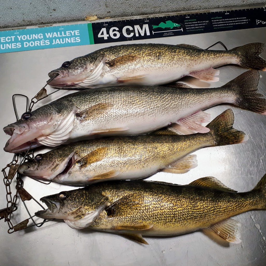 Deluxe Camp | 131 Caron Rd, Lavigne, ON P0H 1R0, Canada | Phone: (705) 594-2527