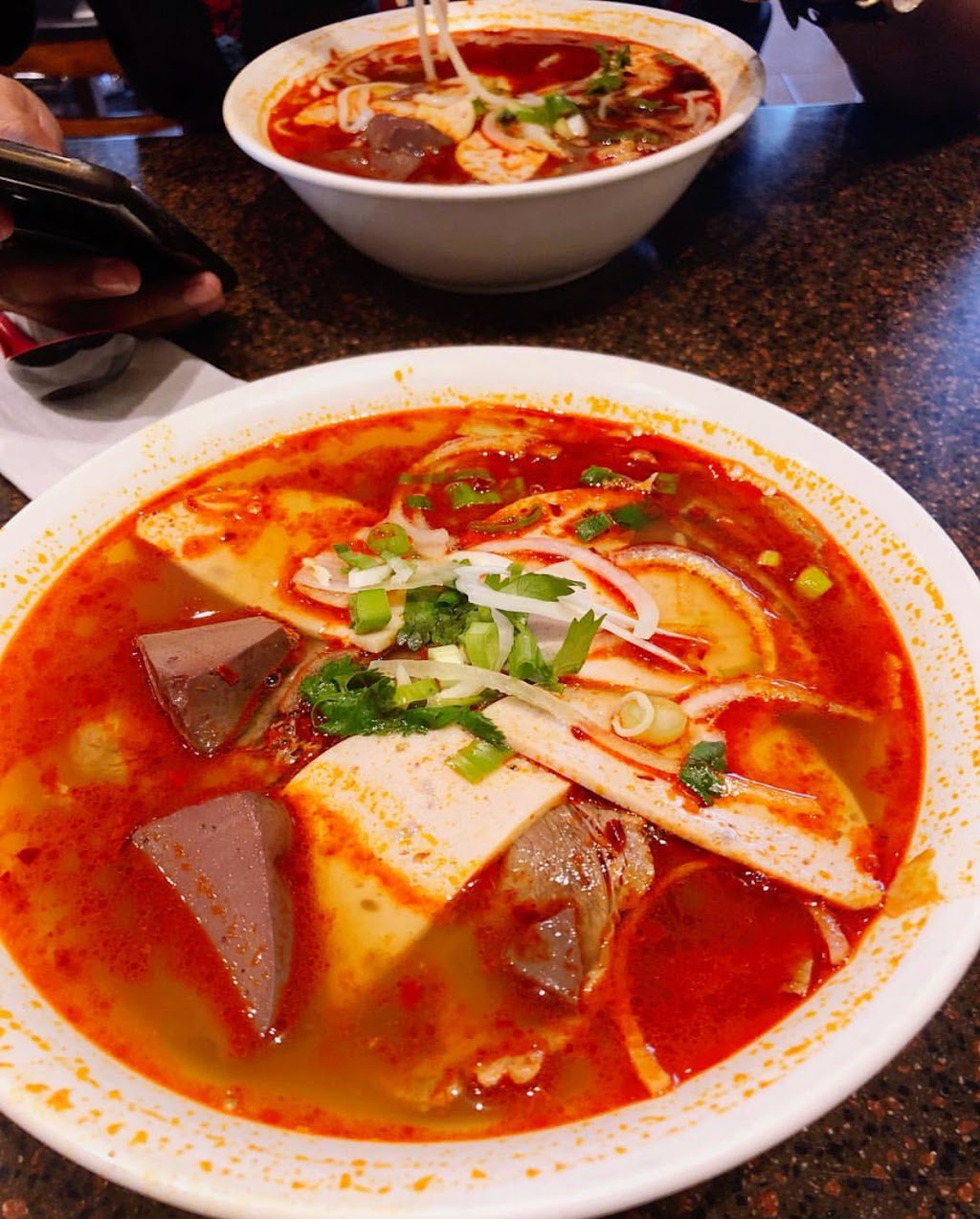 Saigon House Restaurant | 148 West Dr, Brampton, ON L6T 5P1, Canada | Phone: (905) 874-8111