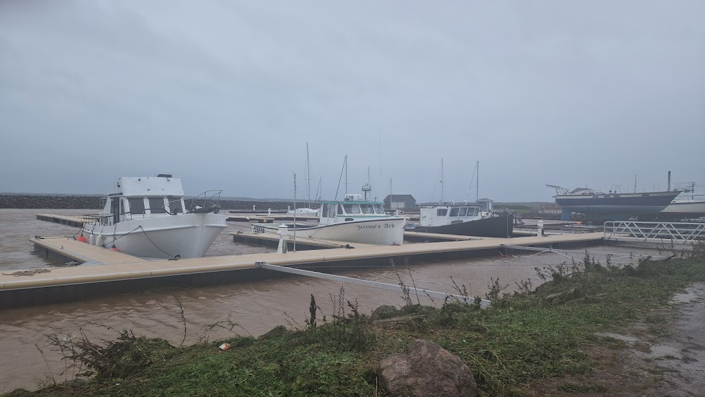 Suncoast Seafood | 87 Chem. du Quai, Grande-Digue, NB E4R 4H7, Canada | Phone: (506) 576-6684