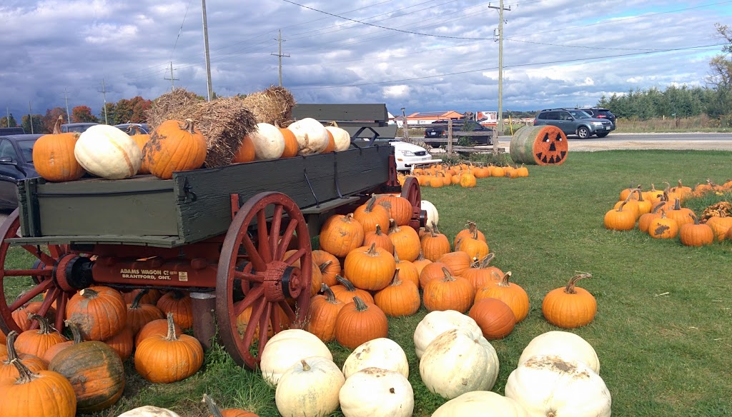 Fernwood Farms & Market | 7865 ON-26, Stayner, ON L0M 1S0, Canada | Phone: (705) 428-3171