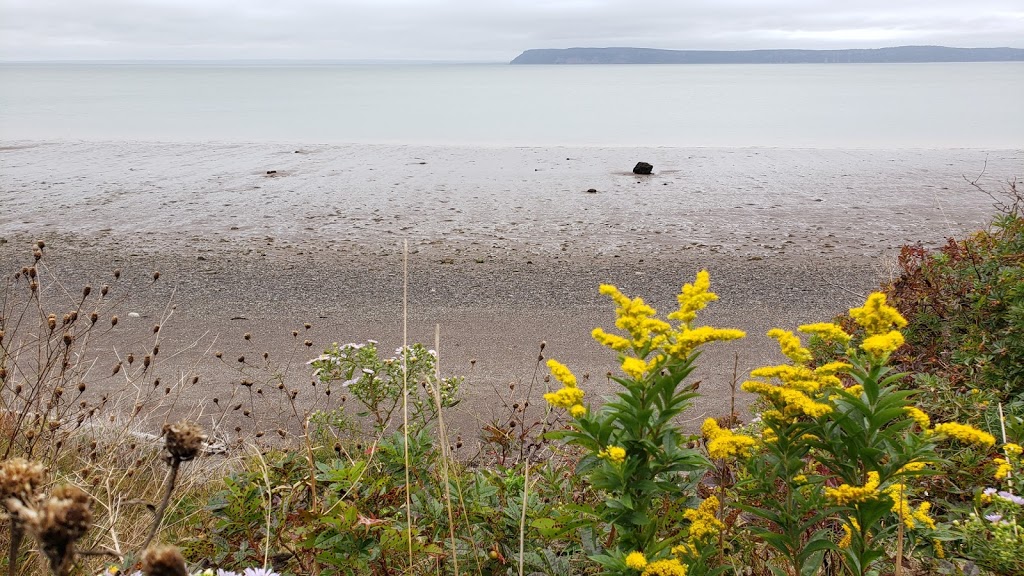 Glooscap Park Campground | 1380 Two Islands Rd, Parrsboro, NS B0M 1S0, Canada | Phone: (902) 254-2529