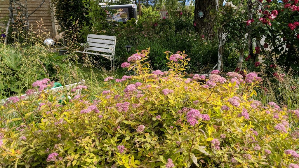 Being Bliss Healing Therapy | 6815 Evans Rd, Chilliwack, BC V2R 4B9, Canada | Phone: (604) 819-6555