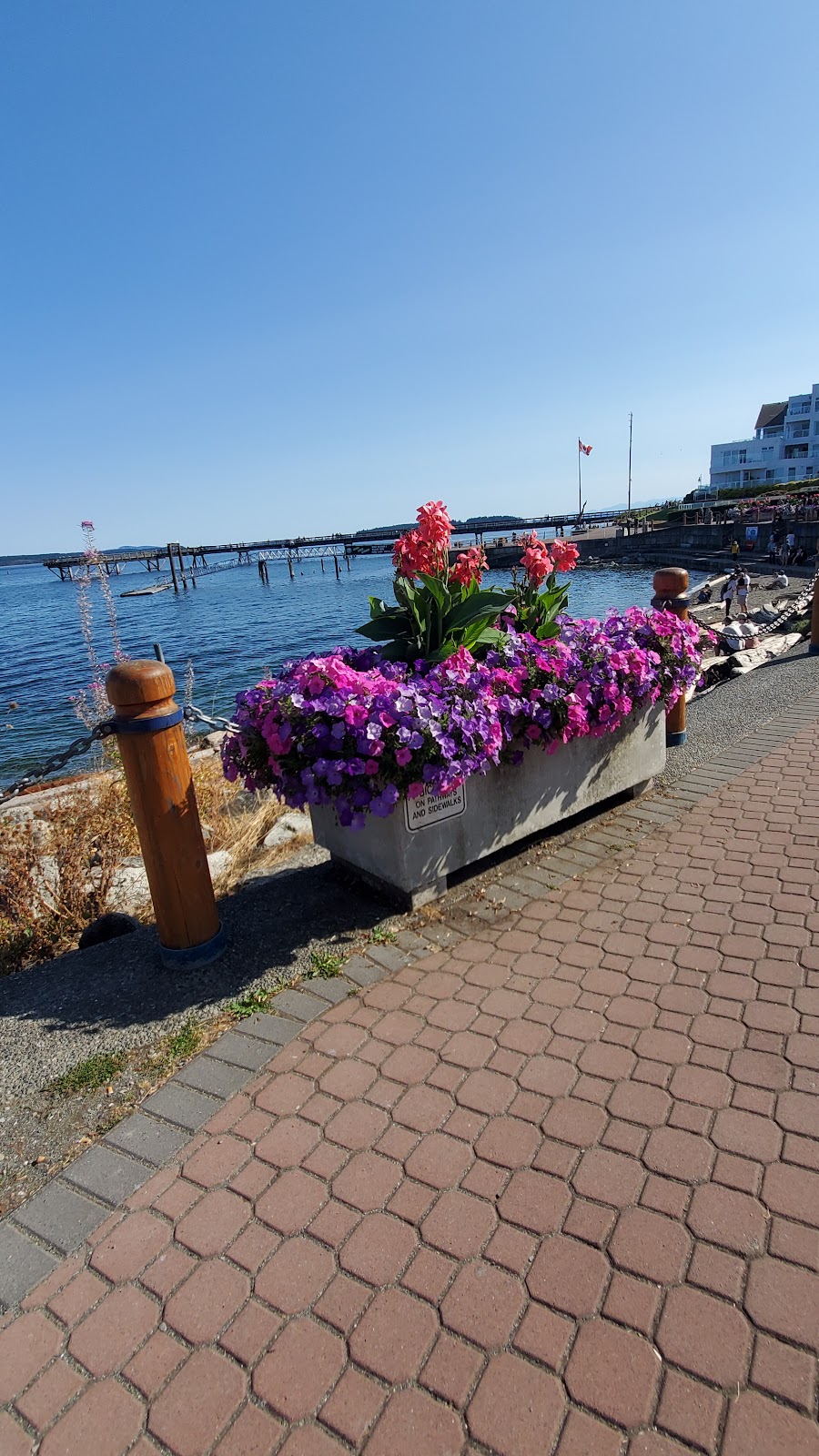 Heart Smart Walk | Sidney, BC V8L 1Y2, Canada | Phone: (250) 656-1184