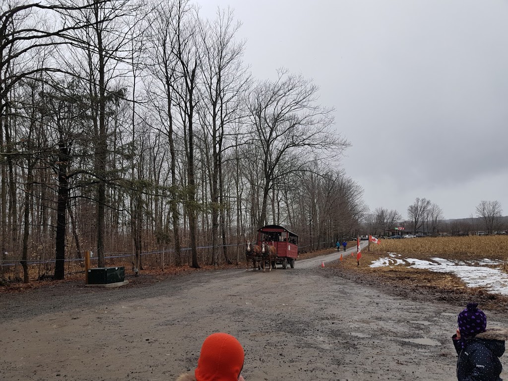 Walts Sugar Shack | 1671 Salem Rd, Consecon, ON K0K 1T0, Canada | Phone: (613) 965-6381