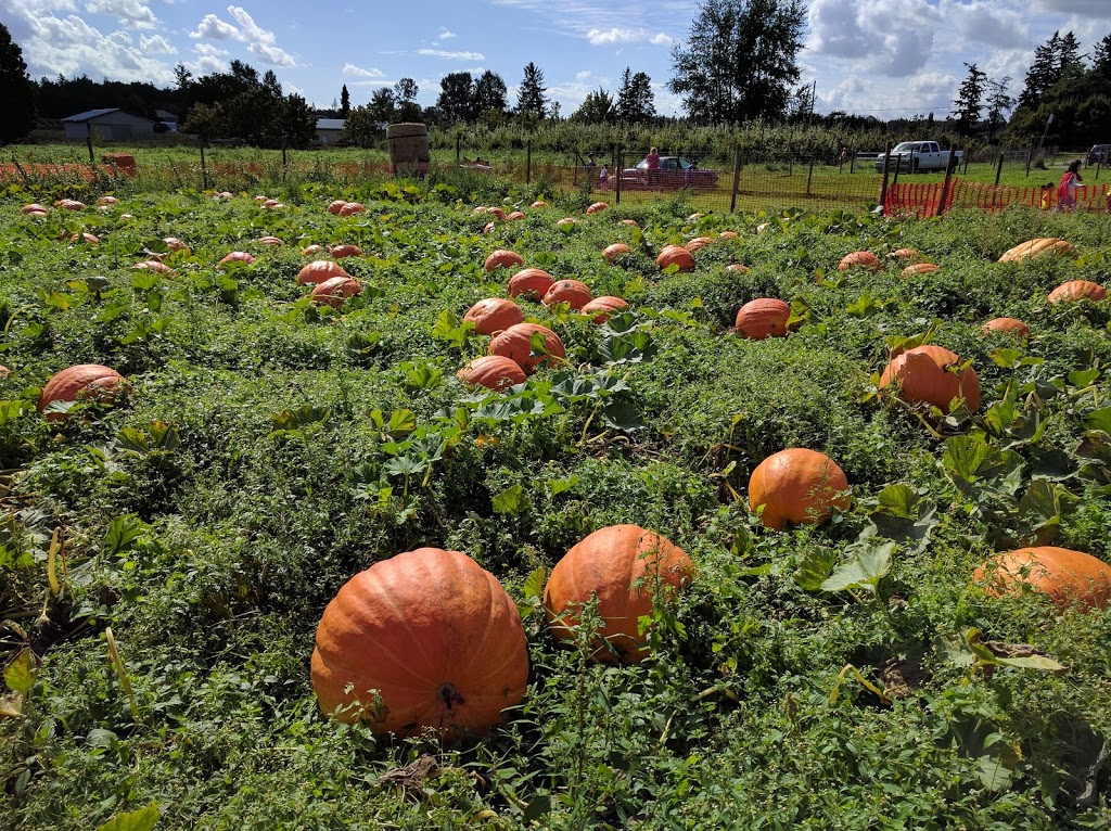 Willow View Farms | 288 McCallum Rd, Abbotsford, BC V2S 8A2, Canada | Phone: (604) 854-8710