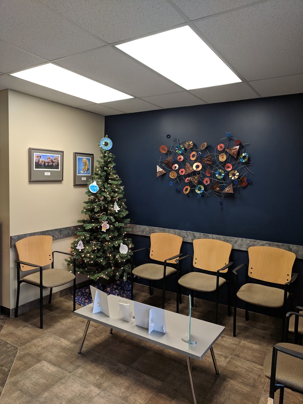 20/20 Eye Care | 2-835 Dakota St, Winnipeg, MB R2M 5M2, Canada | Phone: (204) 953-2020
