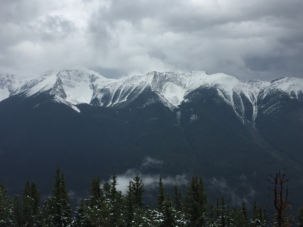 DeNure Tours Ltd (Motorcoach Tours) | 71 Mt Hope St, Lindsay, ON K9V 5N5, Canada | Phone: (800) 668-6859
