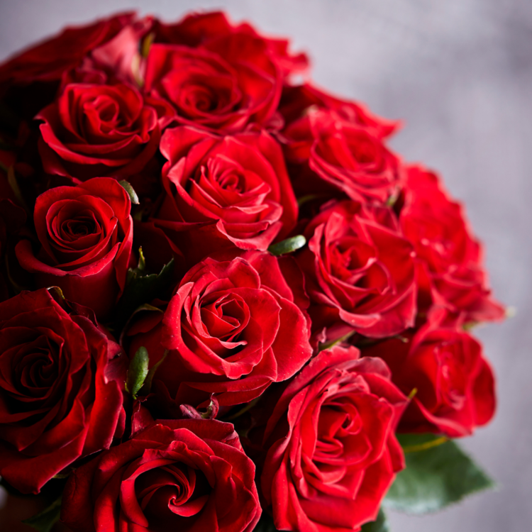 Blooms and Balloons | 96 Ingram Drive, Guelph, ON N1E 0H1, Canada | Phone: (416) 576-6484
