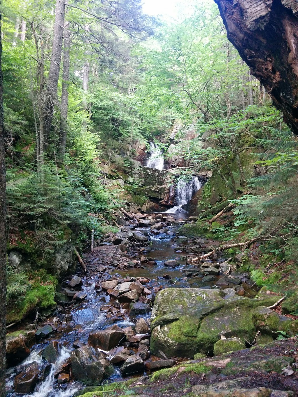 Sentiers du Moulin | 99 Chemin du Moulin, Lac-Beauport, QC G3B 0E1, Canada | Phone: (418) 849-9652