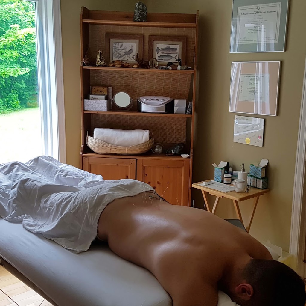 Harmony Acupuncture | 156 Kerry Hill Crescent, Dunrobin, ON K0A 1T0, Canada | Phone: (613) 832-0658