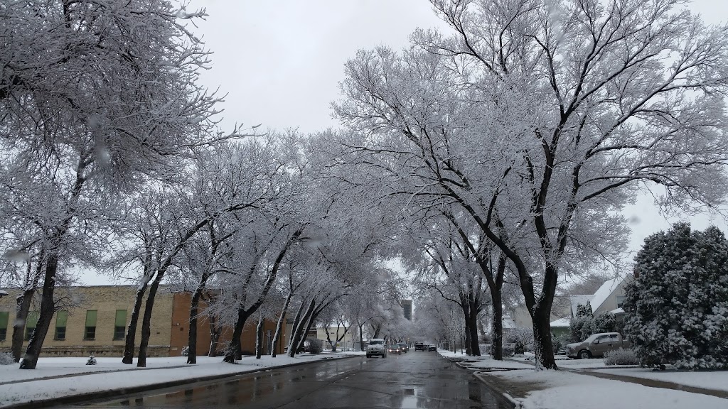 St. Alphonsus Roman Catholic Church | 315 Munroe Ave, Winnipeg, MB R2K 1H2, Canada | Phone: (204) 667-9580