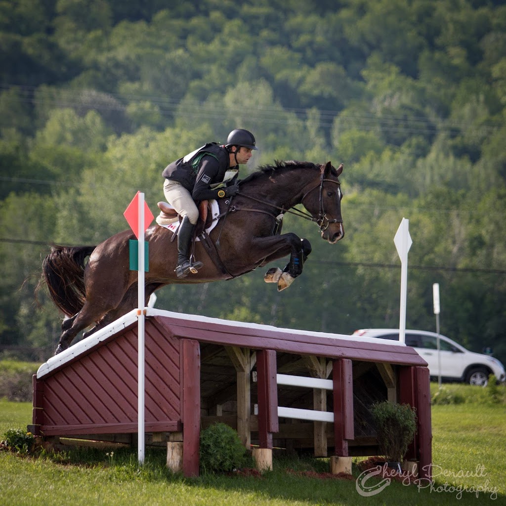 Stonecrest Stables | 4562 Stonecrest Rd, Woodlawn, ON K0A 3M0, Canada | Phone: (613) 623-6230