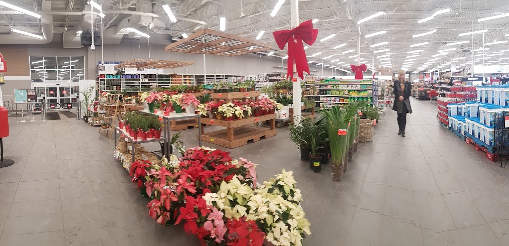 Canadian Tire | 3650 158 Ave NW, Edmonton, AB T5Y 0S5, Canada | Phone: (780) 473-2394
