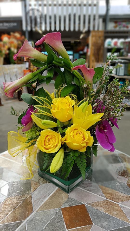 Rosemary Flowers | 9 Tribune Dr, Brampton, ON L7A 0X5, Canada | Phone: (289) 654-5742