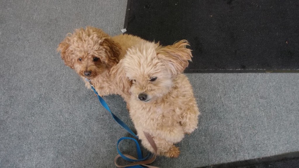 Kats Pet Supplies | 2222 ON-551, Mindemoya, ON P0P 1S0, Canada | Phone: (705) 377-4744