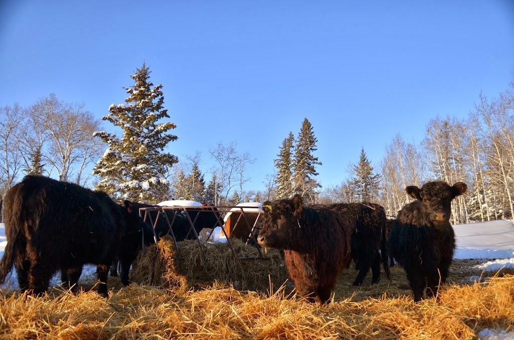 Klasse Woods Natural Farm | Box 137, Austin, MB R0H 0C0, Canada | Phone: (204) 526-2861