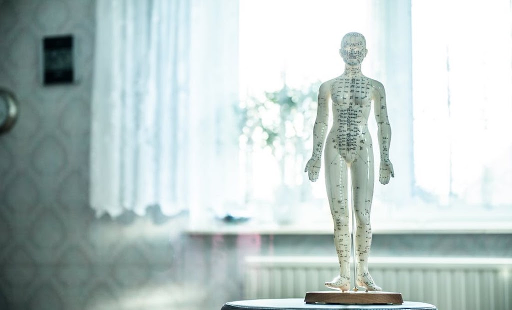 Mario Bissonnette Acupuncture | 255 Rue le Baron, Boucherville, QC J4B 2E4, Canada | Phone: (438) 882-8798